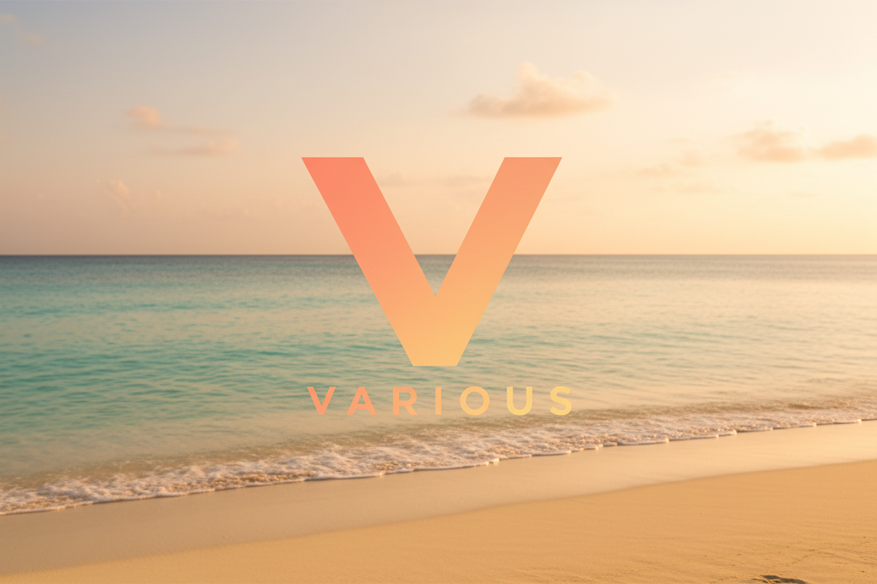 A stylized golden-orange letter V above the word VARIOUS, centered on a solid black background.